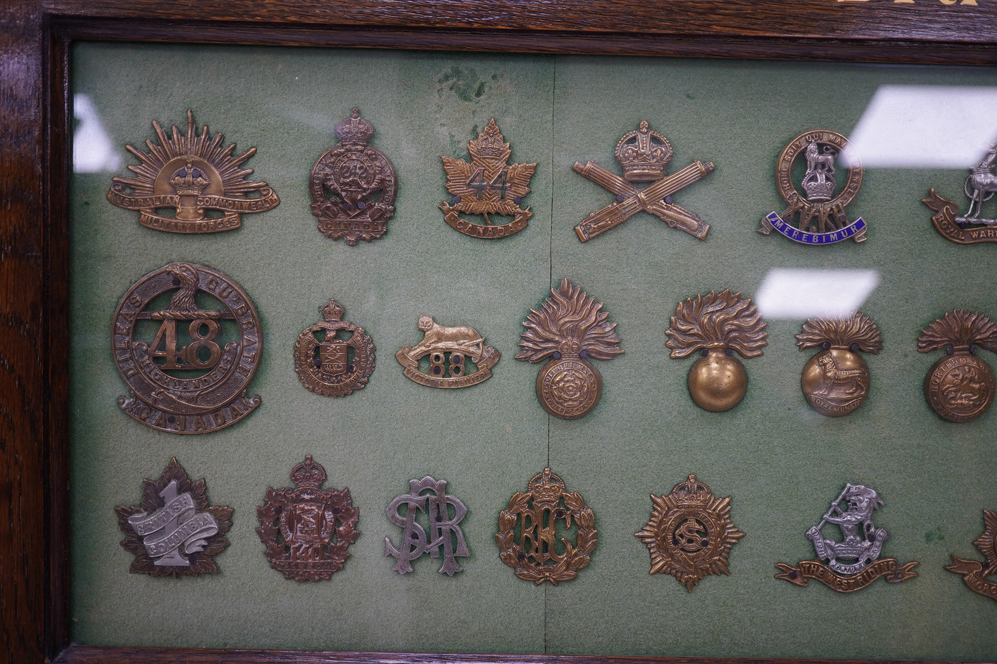 An oak framed display case of cap badges from the British, Colonial and Dominion Regiments, forty-nine badges including Australian Commonwealth Military Forces, the Royal Warwickshire Regiment, the Wiltshire Regiment, th